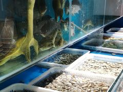 水产区-东大桥小国抻面烧烤(长通路店)