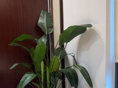 -千滋百味·醉江澜花园餐厅(街道口店)