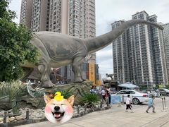 -陕西自然博物馆