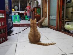 -老丘丘(较场口店)