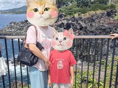 -柱状节理带