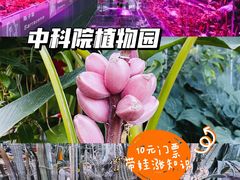 -国家植物园南园