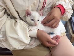 -贝利宠物医院·骨科·眼科·肿瘤转诊中心(南坪诊疗中心)