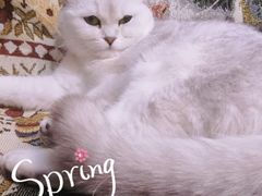 -平行世界·猫咖(首经贸店)