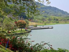-风云岭森林公园