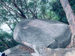 -火炉山森林公园