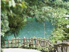 -武陵山森林公园