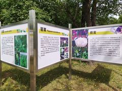-国家植物园南园
