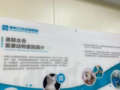 -美联众合爱康动物医院•复杂内科•肿瘤科•牙科•腔镜诊疗中心