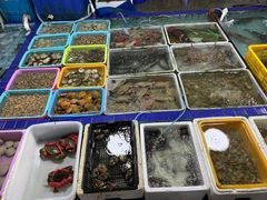 -霞涌市场海鲜摆卖区