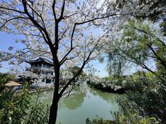 -无锡蠡湖国家湿地公园-蠡园