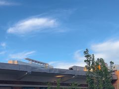 -羊门客在·烤盐池滩羊·川菜