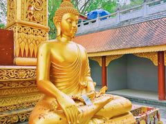 -西双版纳勐泐文化旅游区