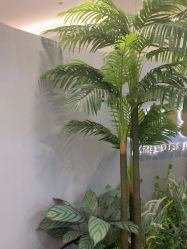 -八佰伴8008星级形象店