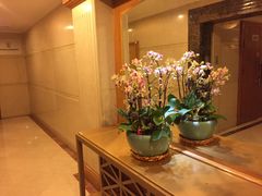 -成都绿洲大酒店(春熙路太古里店)