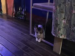 -星宿秘码(鼓浪屿老店)