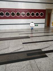 -上海交通大学医学院附属上海儿童医学中心(陆家嘴总院区)