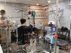 -PETKIT小佩宠物(古北店)