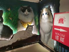 -猫腻·猫咖·撸猫馆(星光大道店)