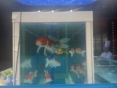 -名人坊·新派粤菜(河西奥体博览中心金鹰世界店)