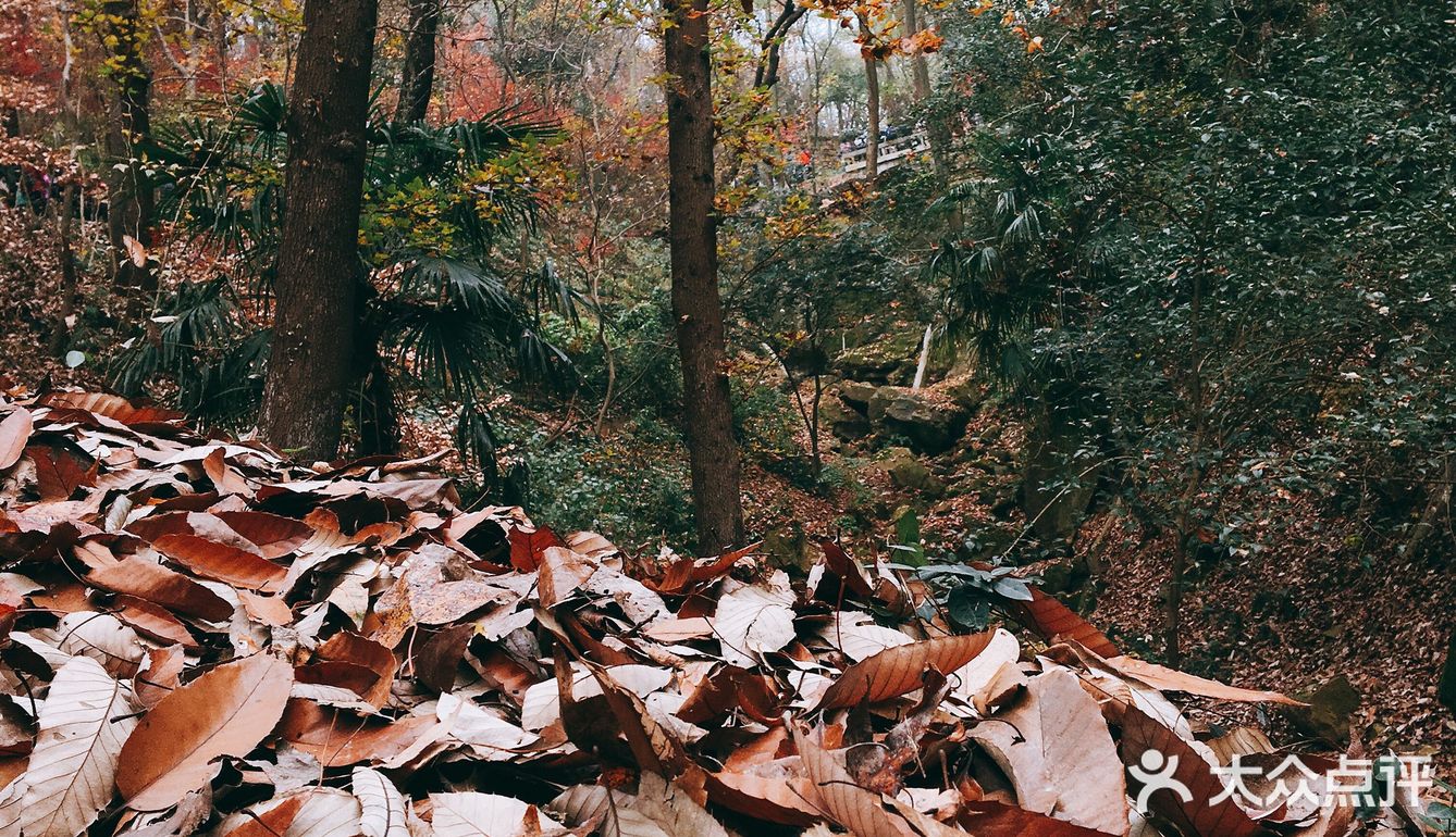 秋日南京不可错过的风景|栖霞山名胜风景区打卡攻略