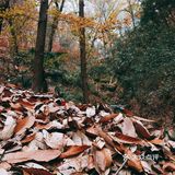 秋日南京不可错过的风景|栖霞山名胜风景区打卡攻略