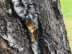 -北京天湖会议中心