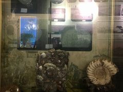 -地方名吃海鲜大馅蒸饺(北戴河店)