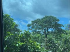 -希尔顿南海酒店·观廊大堂吧·海景下午茶