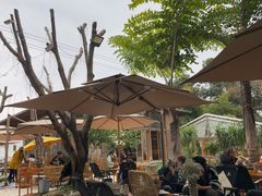 -柠檬花院烤肉·会议团建·聚会·求婚(三圣乡店)