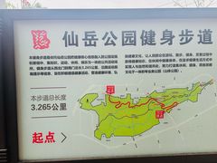 -仙岳公园