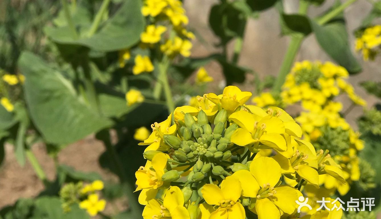 拍完才发现我是竖屏拍的又不想再拍第二遍了