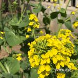 拍完才发现我是竖屏拍的又不想再拍第二遍了