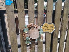 -柴犬高等学院·狗咖·柴犬售卖·宠物训练