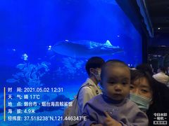 -烟台海昌鲸鲨海洋公园