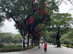 -荔湾湖公园