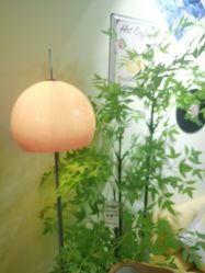 -变美丽半永久纹眉连锁·机器野生眉•洗眉