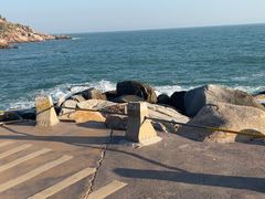 -广东惠东海龟国家级自然保护区