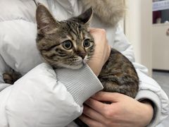 -芭比堂动物医院·CT·微创中心(新顺分院)