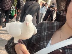 -中国翰园碑林