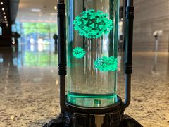 -drivepro(三里屯店)