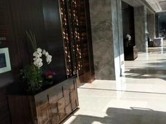 -北京希尔顿逸林酒店