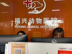 -瑞派福兴宠物医院犬猫全科·骨科·中西医结合(河东店)