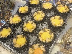 -日月昇渔家菜·海肠捞饭·大连海鲜(星海公园店)