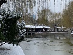 -团结湖公园