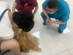 -美联众合动物医院·24h京西诊疗中心