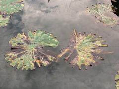 -苏州河梦清园环保主题公园