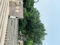 -菊花台公园
