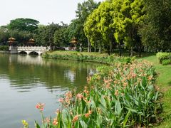 顺峰山公园西门附近-顺峰山公园