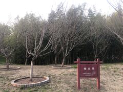 -丰台花园